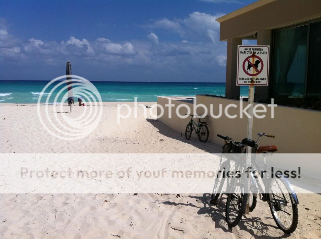 Playacar Phase I is Pure Beachfront Relaxation and Comfort!El mayor